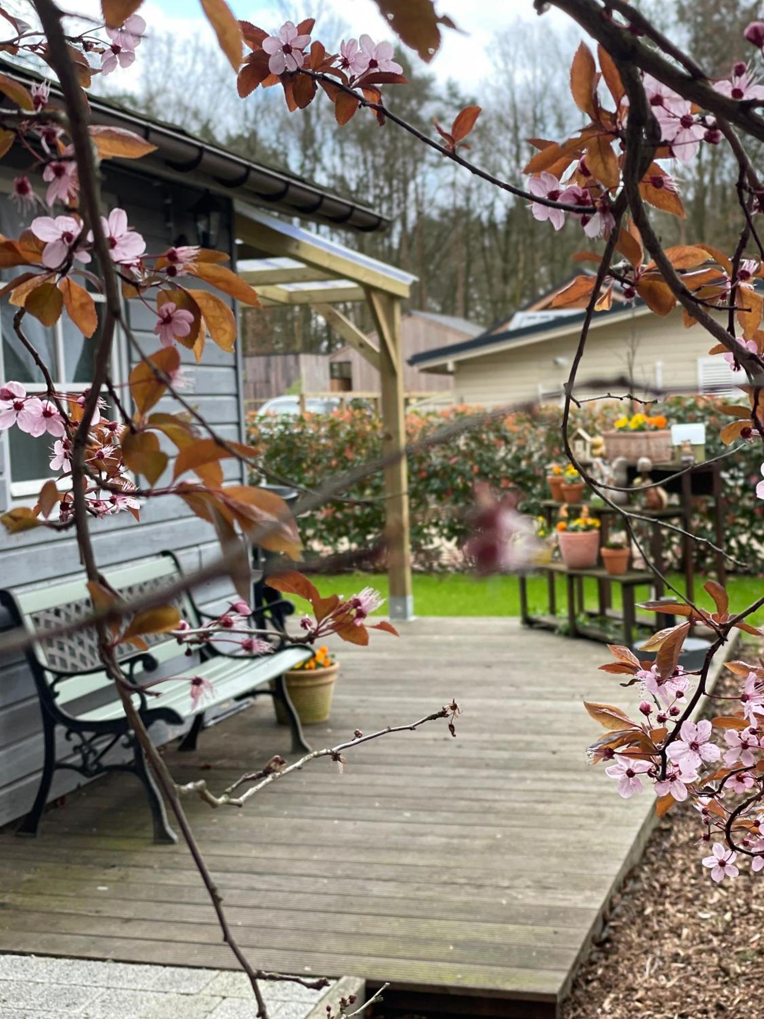 Chalet Sint-Hubertus Du Bois 주텐달 외부 사진