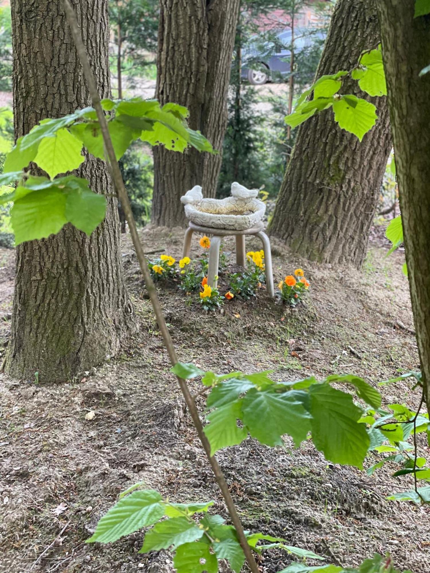 Chalet Sint-Hubertus Du Bois 주텐달 외부 사진